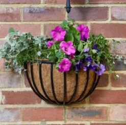 Garden Care Shop -Garden Care Shop 16 inch forge wall basket smart garden