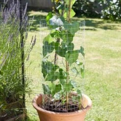 WeldMesh Roll - 25 Mm X 25 Mm Mesh 1 X 20m Galvanised - Smart Garden