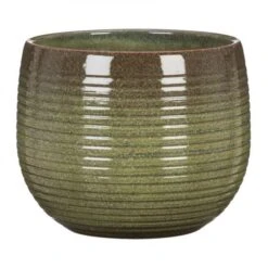 Scheurich Wild Jungle Pot Cover 744/18