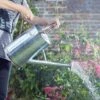 Watering Can – Galvanised 4.5L - Smart Garden -Garden Care Shop 9l galv 2 1