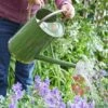 Watering Can - Sage 9L - Smart Garden 1 Watering Can - Sage 9L - Smart Garden -Garden Care Shop 9l sage 2