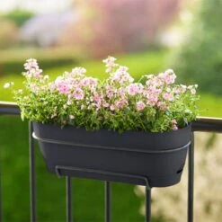 Elho Vibia Campana Trough Allin1 50cm Anthracite -Garden Care Shop anthracite main square