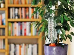 Hozelock Aquasolo 3 Cones + 1 FOC (Orange-pots Up To 10") 11 Hozelock Aquasolo 3 Cones + 1 FOC (Orange-pots Up To 10") -Garden Care Shop aqua