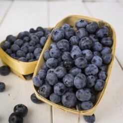 Garden Care Shop -Garden Care Shop blueberry punnets