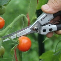 Compact Snips -Garden Care Shop compact snips