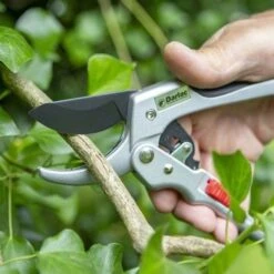 Ratchet Anvil Secateurs -Garden Care Shop darlac ratchet anvil pruner 1