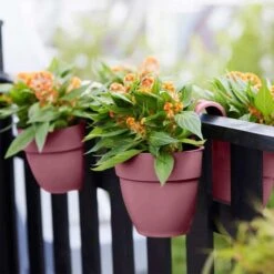 Elho Vibia Campana Flower Twin 21cm - Dusty Pink -Garden Care Shop elho 2