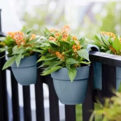 Elho Vibia Campana Flower Twin 21cm - Vintage Blue 7 Elho Vibia Campana Flower Twin 21cm - Vintage Blue -Garden Care Shop elho blue 2