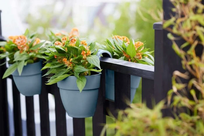 Elho Vibia Campana Flower Twin 21cm - Vintage Blue 3 Elho Vibia Campana Flower Twin 21cm - Vintage Blue