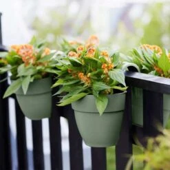 Elho Vibia Campana Flower Twin 21cm - Pistachio -Garden Care Shop elho green 2