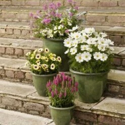 Apta Malay Glazed Planter 24cm 7 Apta Malay Glazed Planter 24cm -Garden Care Shop glazed malay square 2