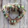 Sphagnum Moss 12L -Garden Care Shop heart frame planted