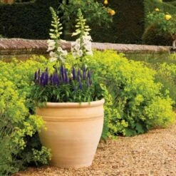 Apta Himalaya Traditional Planter 29cm 7 Apta Himalaya Traditional Planter 29cm -Garden Care Shop hymalayan pots square 1