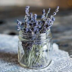 Lavender English Munstead - Seed -Garden Care Shop lavender dried