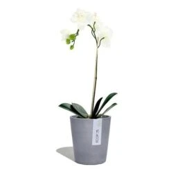 EcoPot 14cm - Morinda Blue-grey -Garden Care Shop morinda blue grey 1 500
