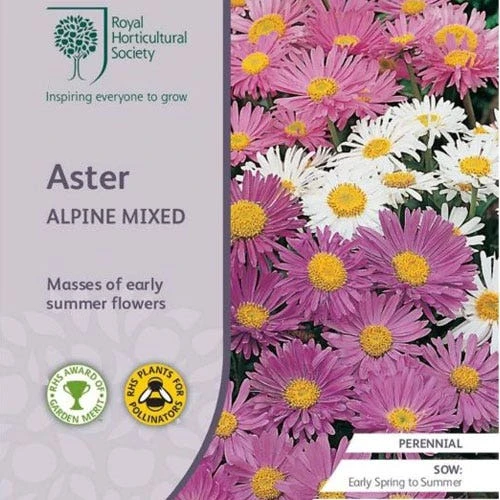 Aster Alpine Mix - Seed 3 Aster Alpine Mix - Seed