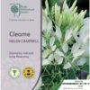 Cleome - Spider Flower - Seed -Garden Care Shop rhs cleome