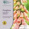Foxglove Sutton's Apricot - Seed -Garden Care Shop rhs foxglove apricot