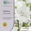 Musk Mallow - Seed -Garden Care Shop rhs mallow