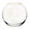 Terrarium Glass Fish Bowl 30x25cm - Growth Technology -Garden Care Shop terrarium glass fish bowl 30x25cm growth technology