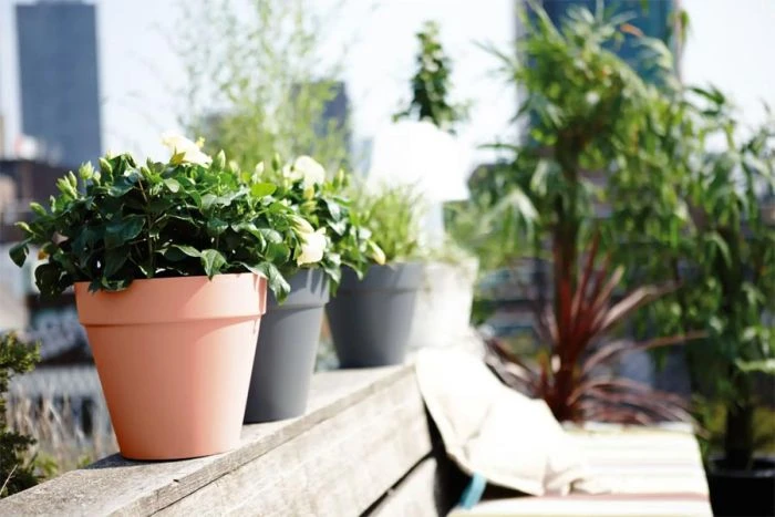 Elho Loft Urban Round 30cm Delicate Pink 3 Elho Loft Urban Round 30cm Delicate Pink