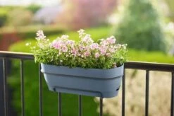 Elho Vibia Campana Trough Allin1 50cm Vintage Blue