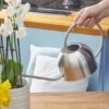 Smart Garden Stainless Steel Watering Can 1L -Garden Care Shop watering can 1.5l stainless steel