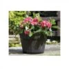 Tom Chambers Whiskey Barrel Planter Medium -Garden Care Shop wp200 whisky barrel planter small wpcf 450x900 pad 4095 1